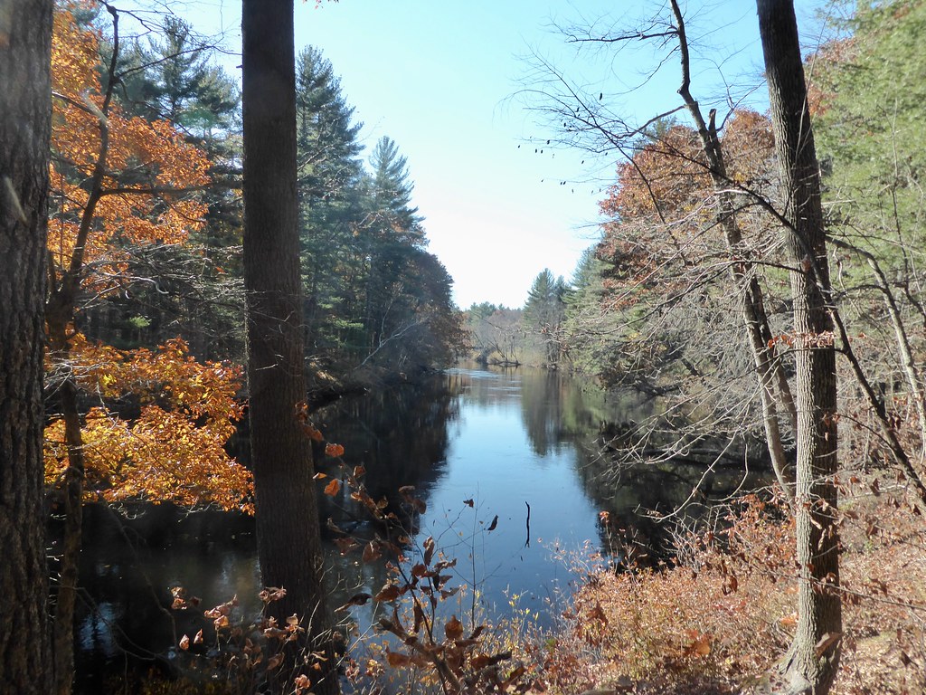 Groton Town Forest 11/8/21 Flickr