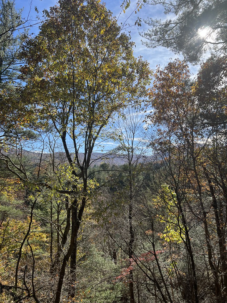 Wardensville, WV Tuscorarora Trail Nov. 2021 Brandon Gravett Flickr