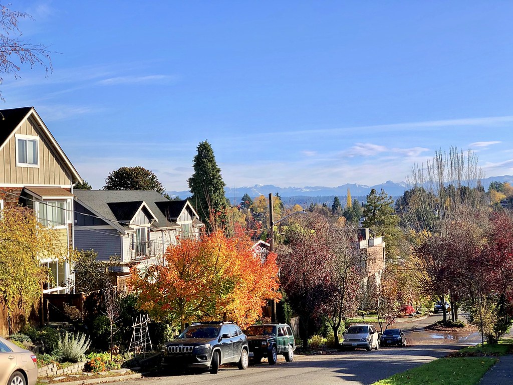 Central District Seattle Aaron Flickr