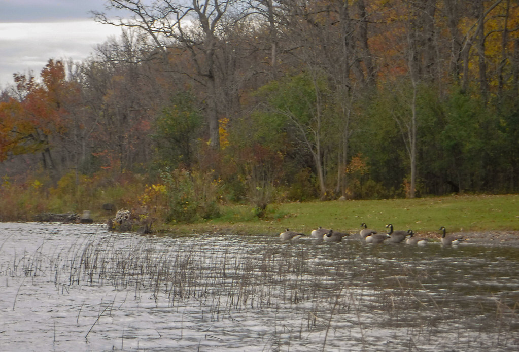 Thompsons Lake kayaking 4 Zaphod Beeblebrox Flickr