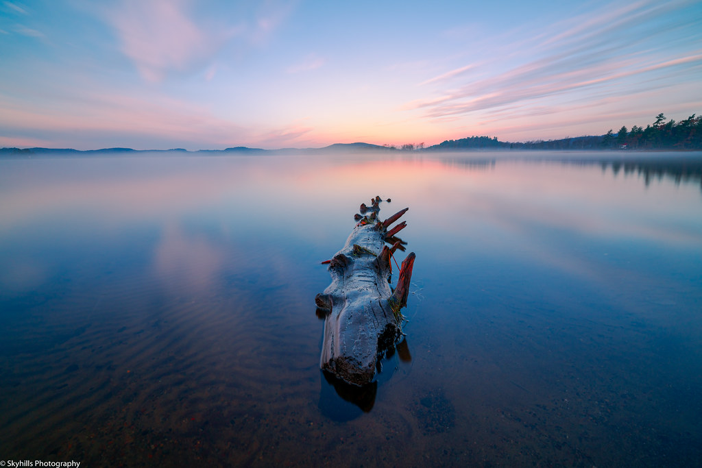 Lake Vernon driftwood. Huntsville, Ontario Daniel Gibson Flickr
