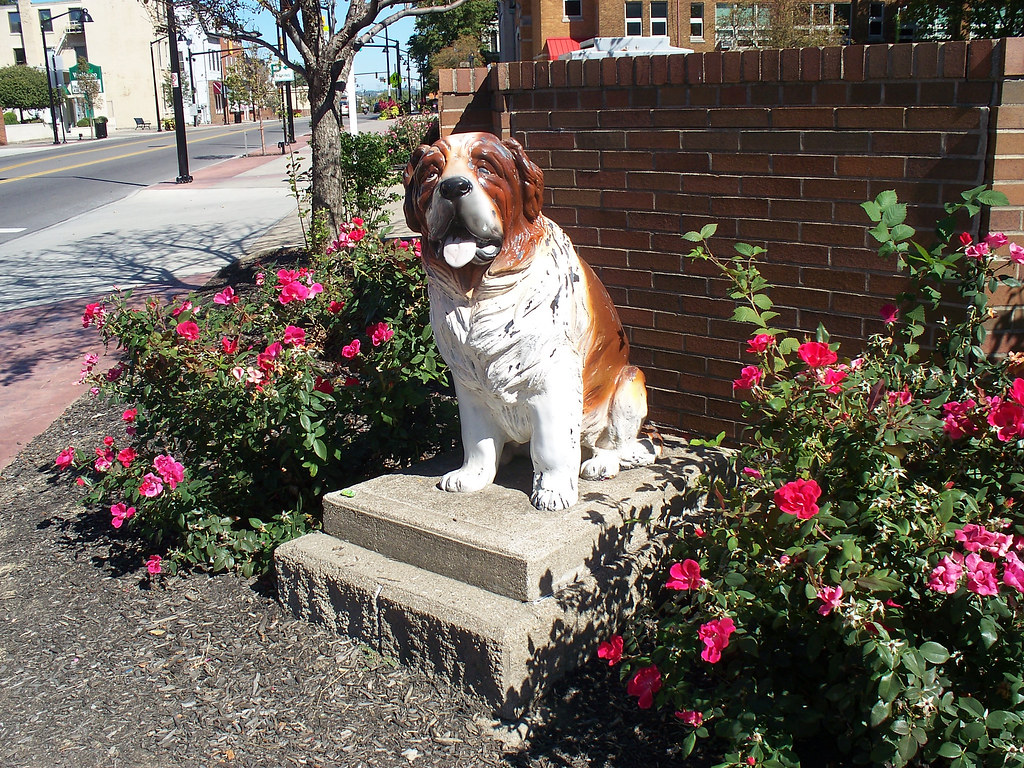 OH Cincinnati St Bernard 2 One of several St Bernard sta… Flickr