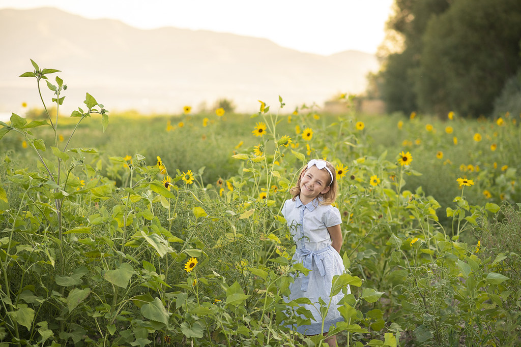 DSC_4279 Sunflowers 2021. Elora 8 Adrian Parkinson Flickr