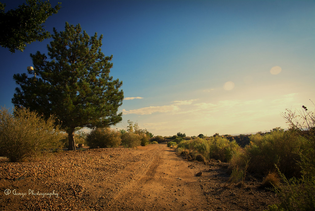 New Mexico8 Emmett Gonzales Flickr
