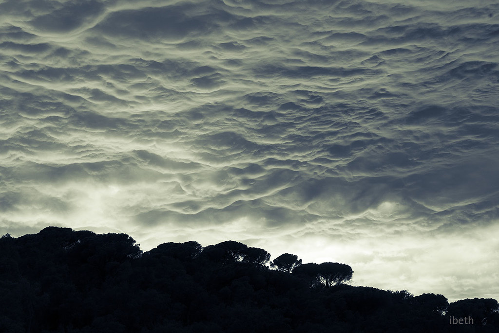 When the North wind blows (III) (on Explore) Ibeth M Flickr