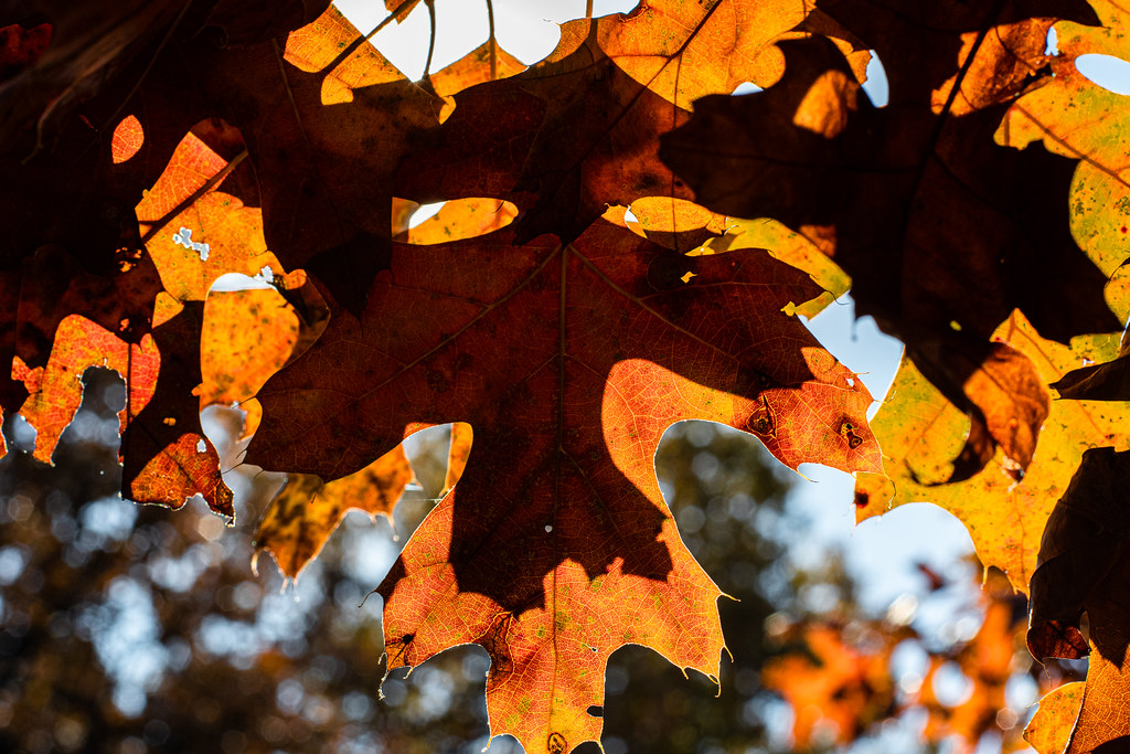 LaFollette County Park27.jpg LaFollette County Park is lo… Flickr