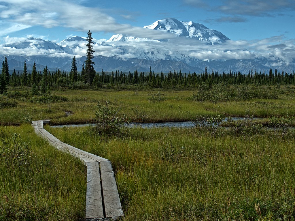 Typical Morning Walk in Alaska Denali from McKinley Bar … Flickr