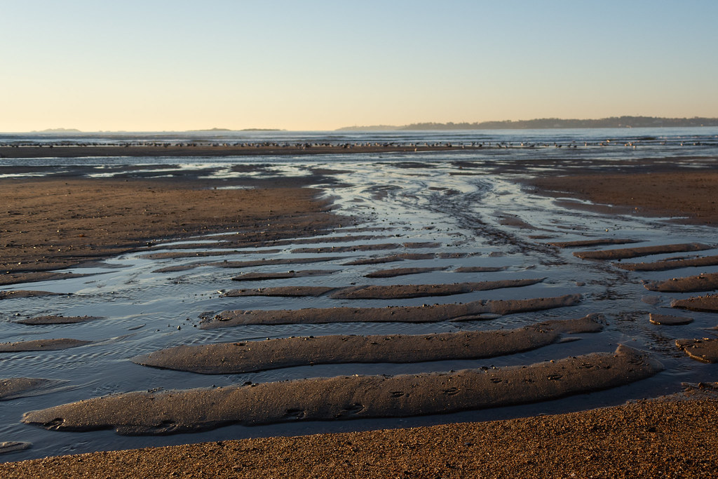 Brackenbury Beach at Megan Ovalle blog