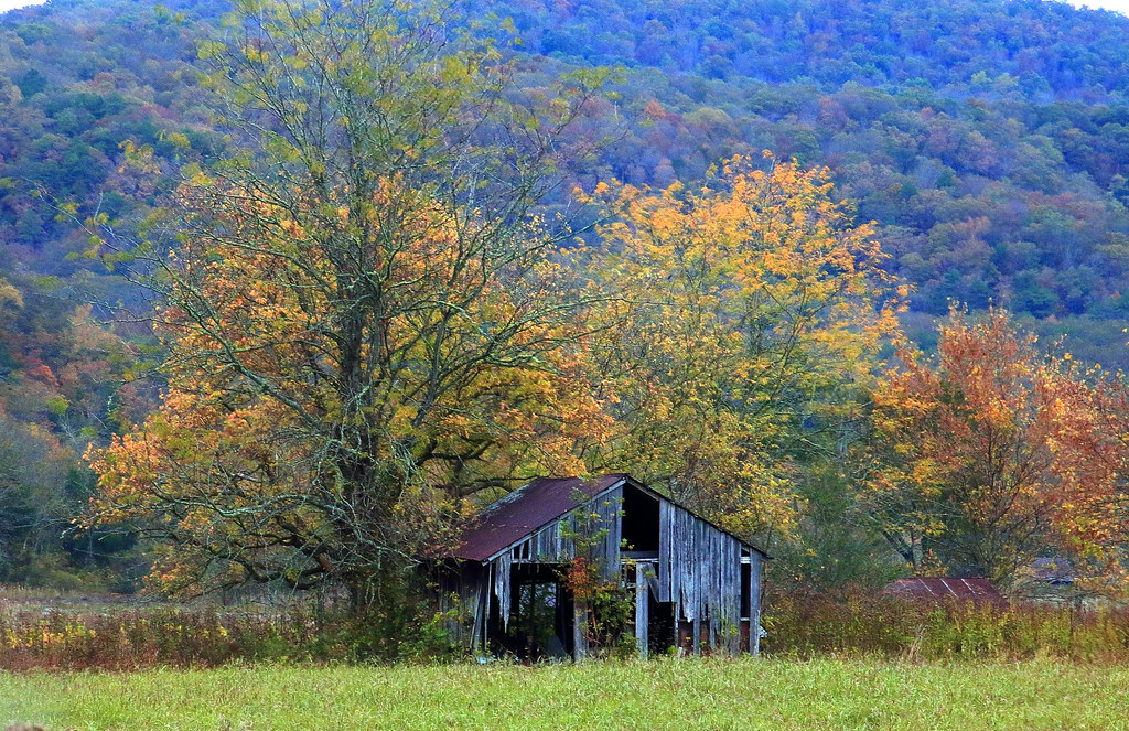 Old Boxley Valley Barn on an Autumn morning Northwest Ar… Flickr