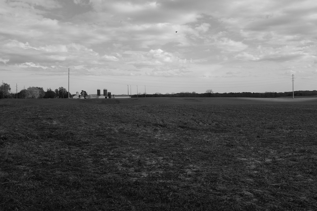 Saline MI DSCF4824 Michigan has nearly 10 million acres o… Flickr