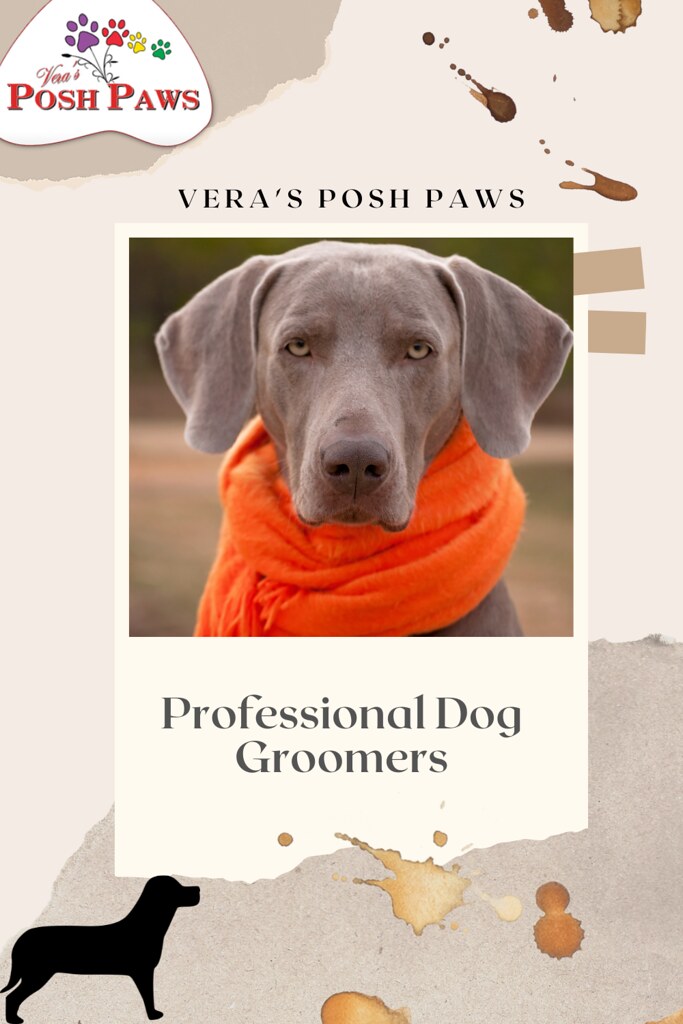 Pet Grooming ServicesOKC Vera's Posh Paws. Vera’s Posh P… Flickr