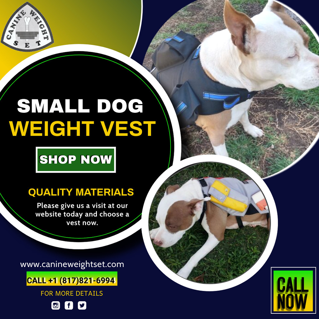 Small dog weight vest Small Dog Weight Vest is open in dif… Flickr