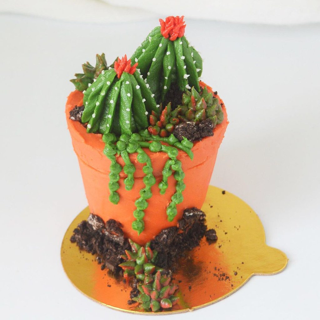 Terracotta Pot Cake by Girl That Cakes Amazing Cake Ideas Flickr