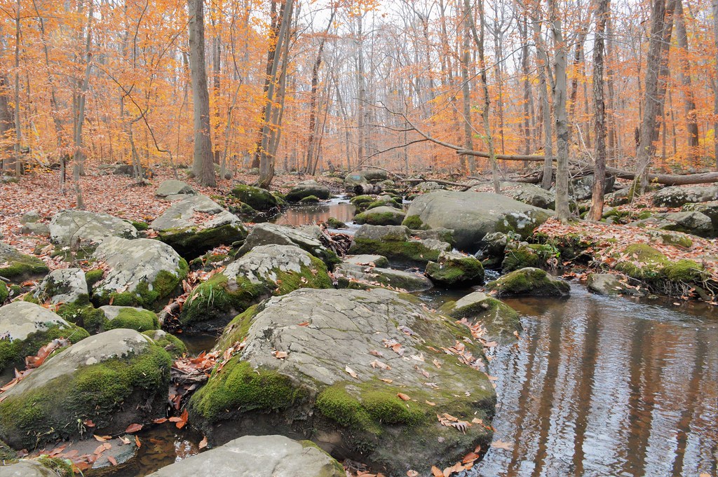 St_Peters_V (3) Scenes in St Peters Village area and along… Flickr