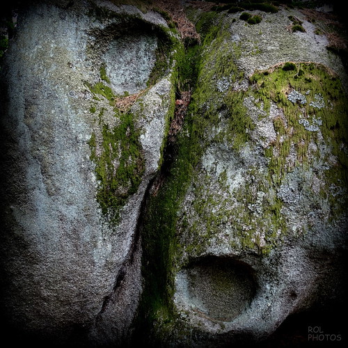 le Yin et le Yang...! Parmi des Rochers, en foret derrière… Flickr