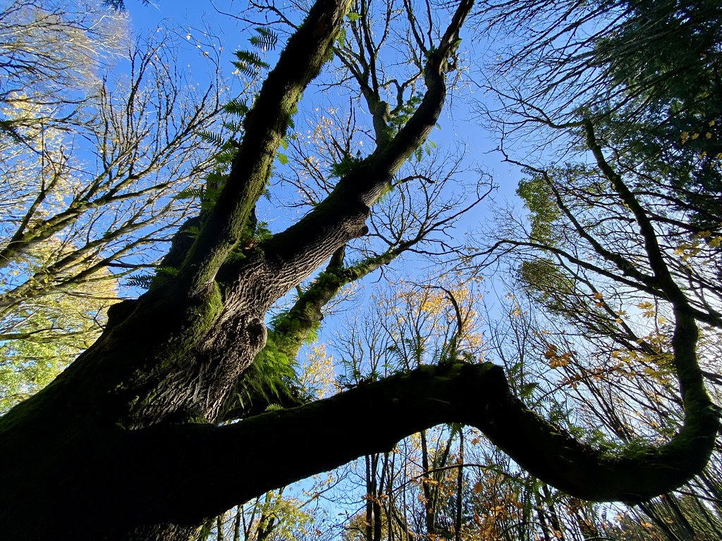 Interlaken Park Flickr