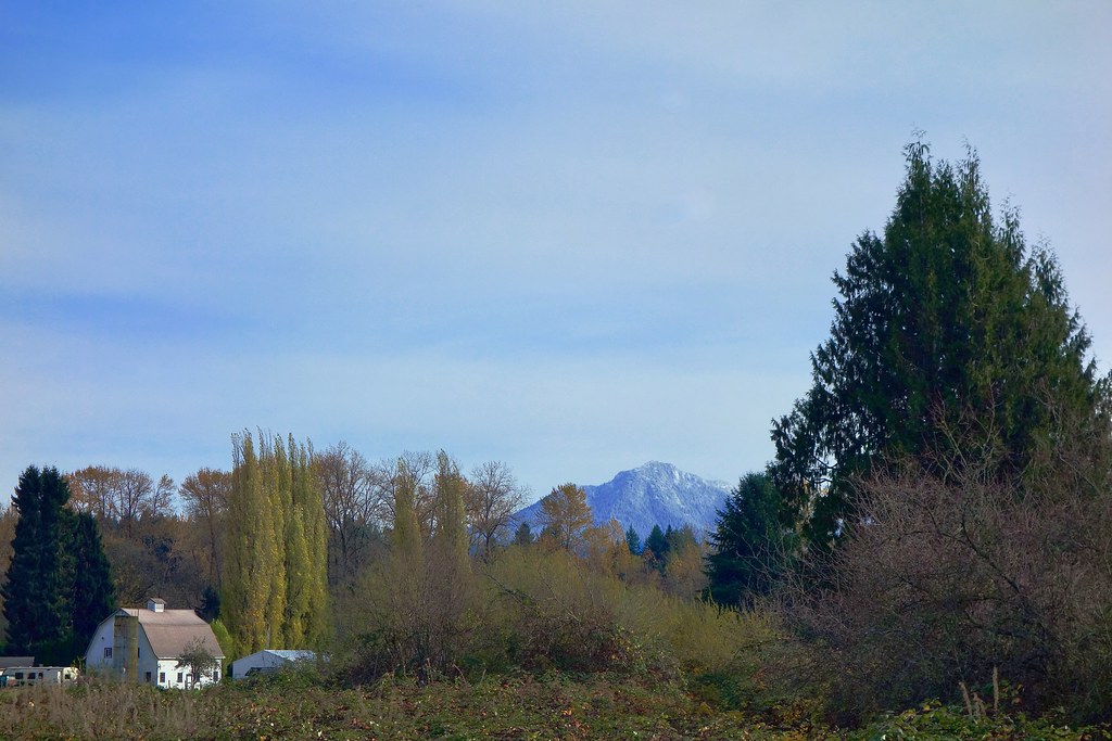 DSC02669 Morning in Machias, WA Oxbow_Lebach Flickr