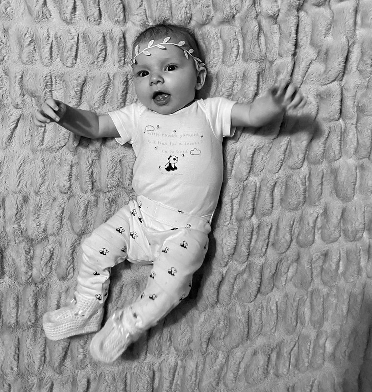 Mya 11 weeks old Flickr