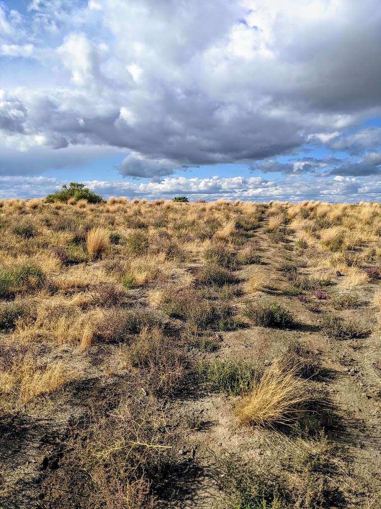 Box Spring Canyon at Norman Butler blog