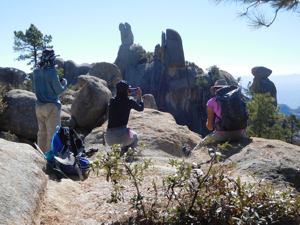 Lemmon Pools 20211115 Flickr