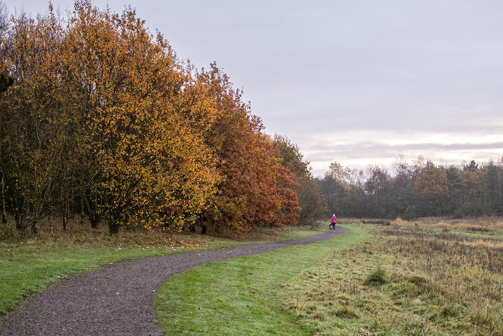 Clock Face Country Park (54 of 17) gerald murphy Flickr