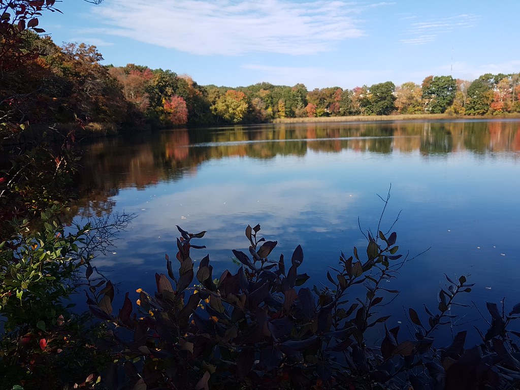 20211015104025Needham_HeightsCutler_ParkSJ Joseph Nowarski Flickr