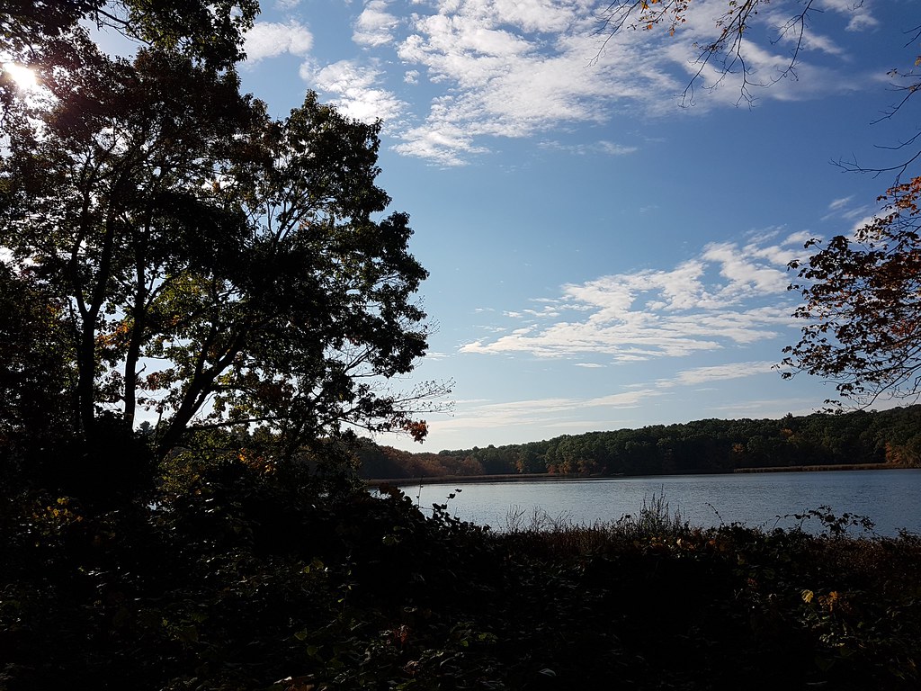 20211015095130Needham_HeightsCutler_ParkSJ Joseph Nowarski Flickr