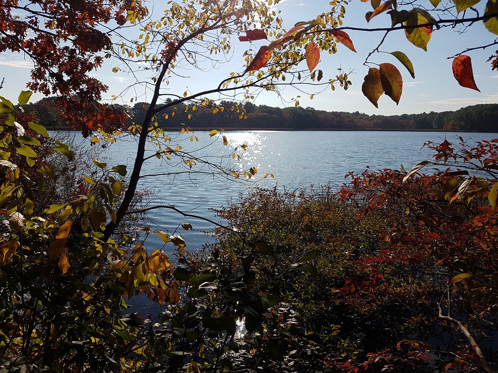 20211015094543Needham_HeightsCutler_ParkSJ Joseph Nowarski Flickr