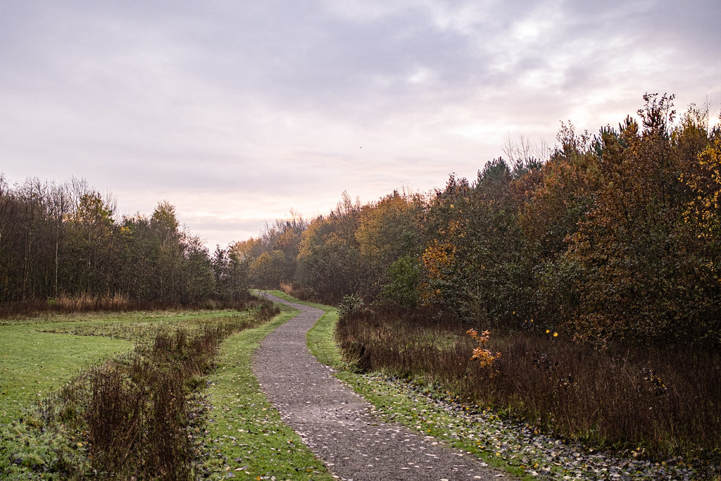 Clock Face Country Park (52 of 17) gerald murphy Flickr