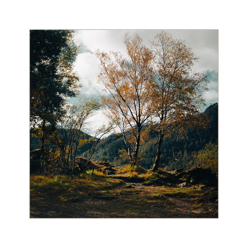 A sense of Freedom Lake District National Park. photography 55