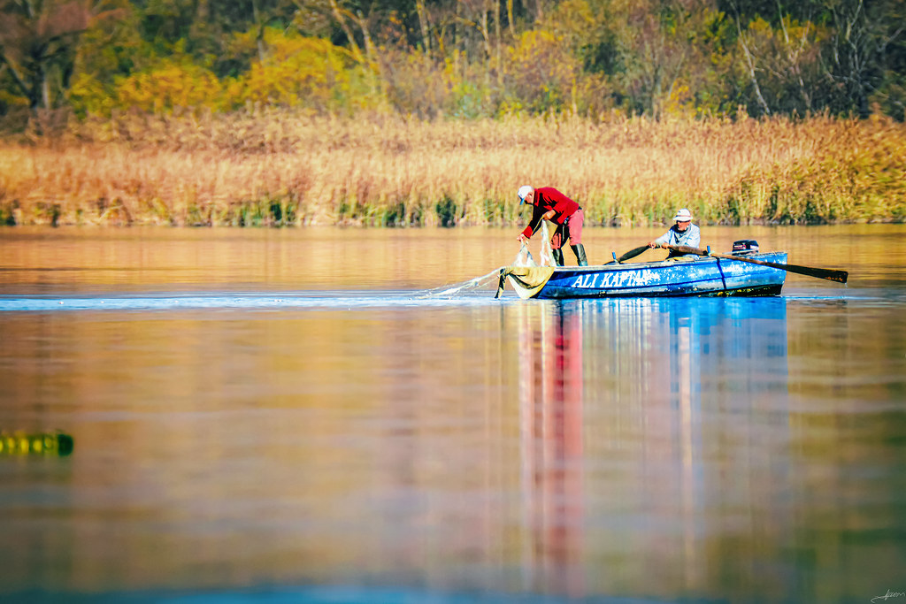 Flickriver Most interesting photos from 2739342N24 pool