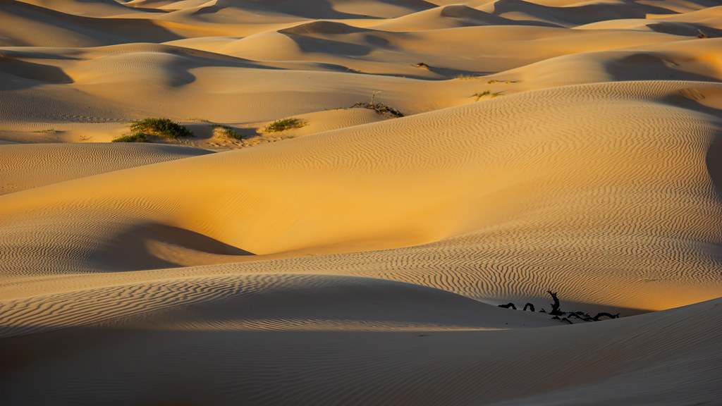 Grain(s) of sand From the archives desert in Oman Peter Hungerford Flickr