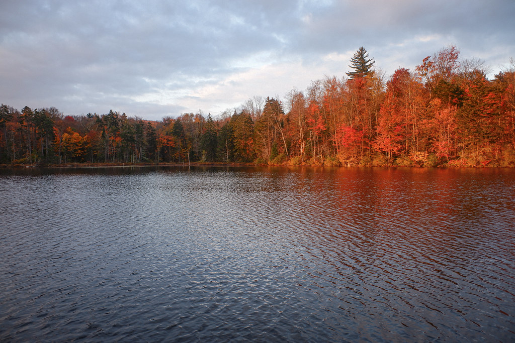 CRANBERRY LAKE 50 TRAIL, CRANBERRY LAKE, ADIRONDACK PARK, NY, OCTOBER