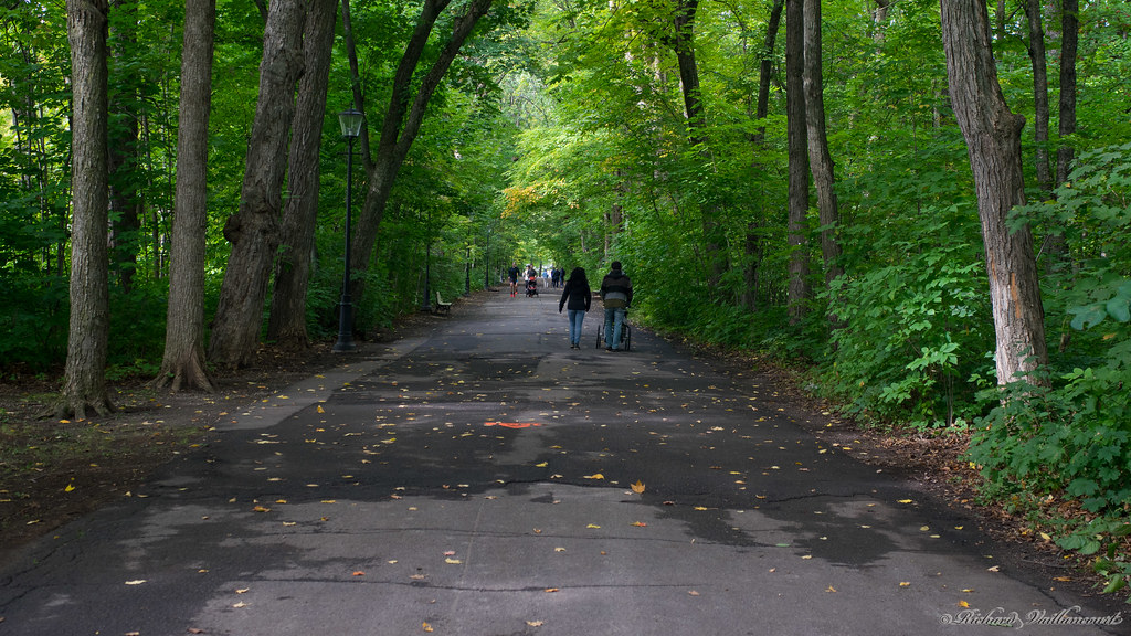 Sentier, trail, Parc du BoisdeCoulonge, Québec, Canada … Flickr