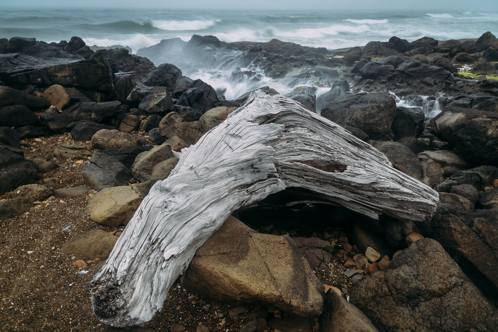 Driftwood at High Tide Smelt Sands, Yachats, Oregon Flickr