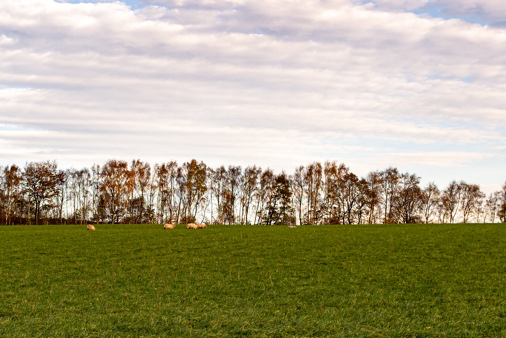 Garswood road towards Lavin's Hollin Hey Farm (29 of 34) Flickr
