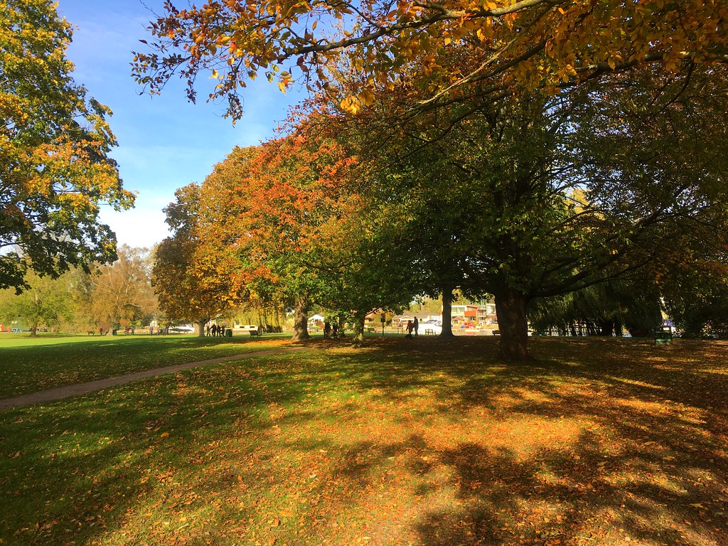 Runnymede Pleasure Grounds juliavhill Flickr