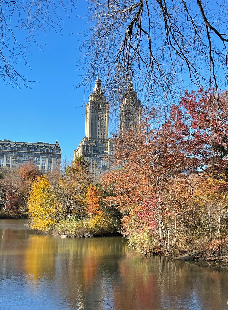 November 2021 New York Thanksgiving J&GMcLean Flickr