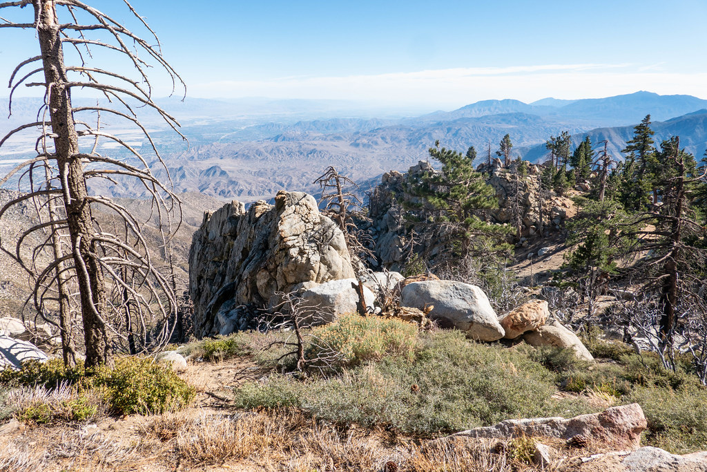 PCTHumber Park to Fobes Trailhead 21Nov21 20.jpg Flickr