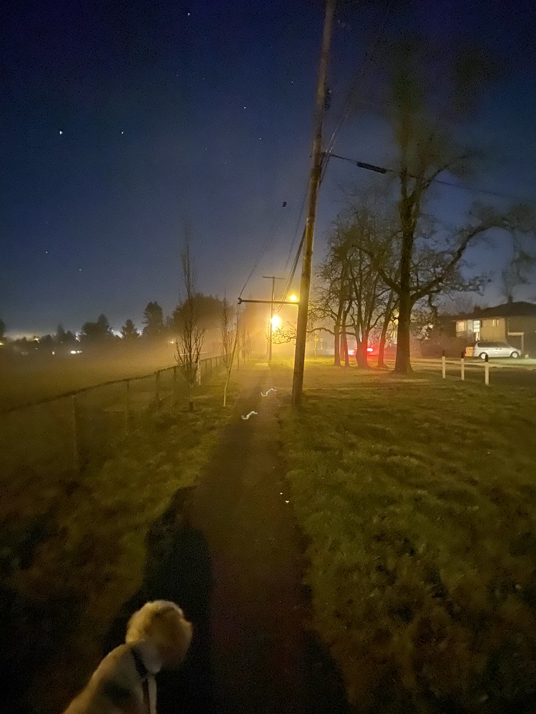 Dog walk at night MWG Pictography Flickr