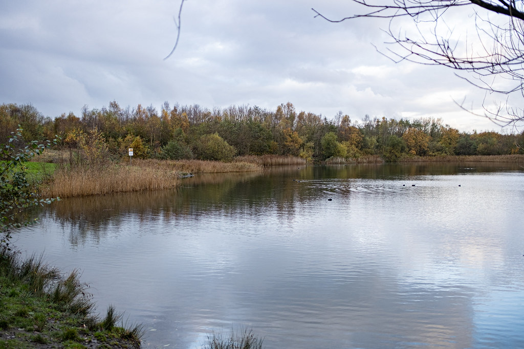 Newbold estate and Bold Country Park (8 of 18) gerald murphy Flickr
