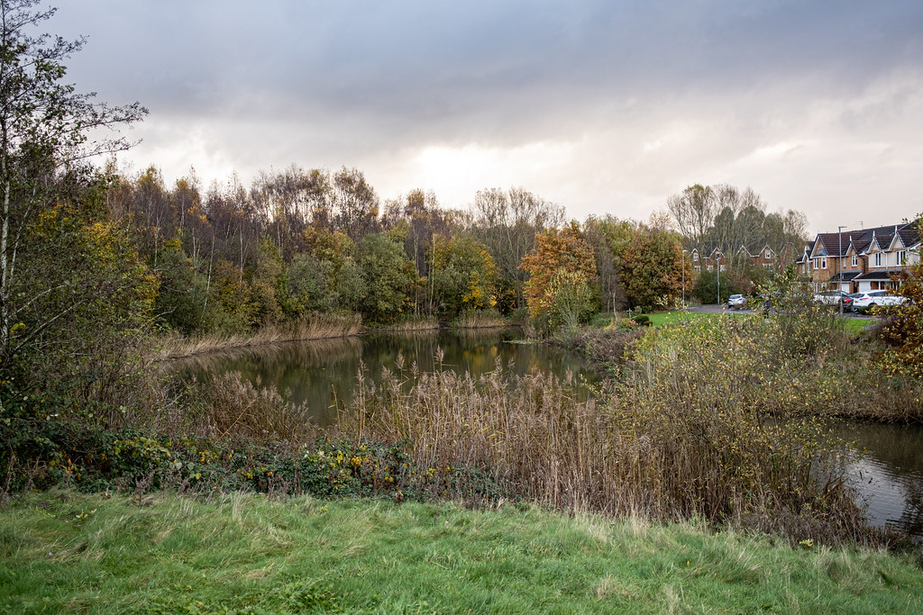 Newbold estate and Bold Country Park (14 of 18) gerald murphy Flickr