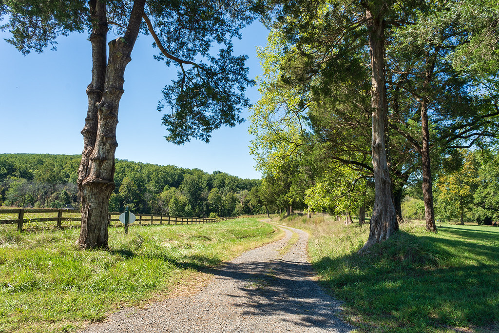 Montpelier Scenery Walking toward the family cemetery at M… Flickr