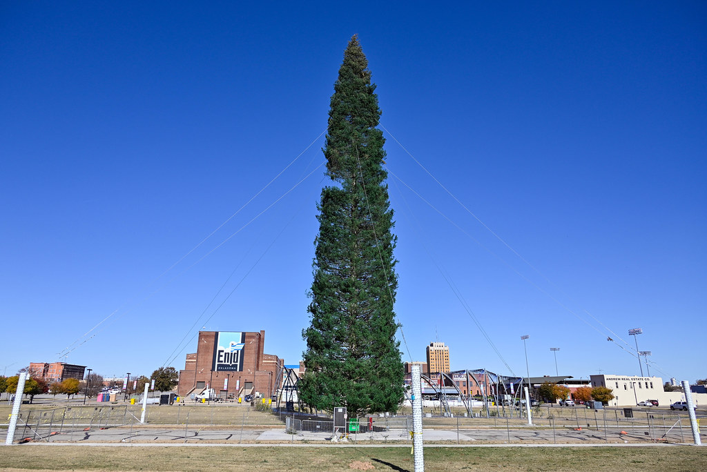 BF Christmas Tree Flickr