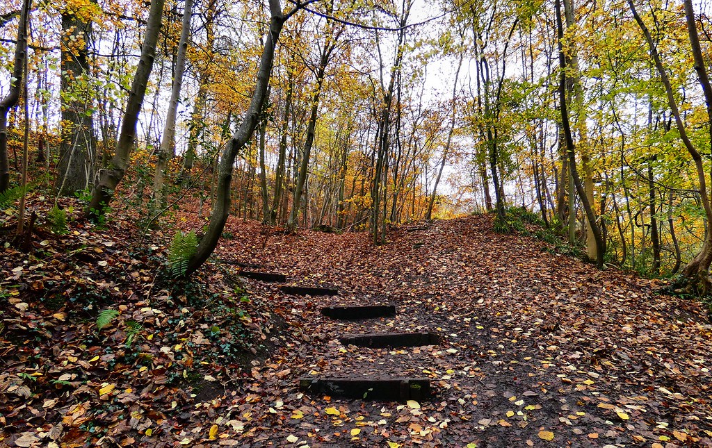 Steps Saltburn woods to Skelton walk trevor pye Flickr
