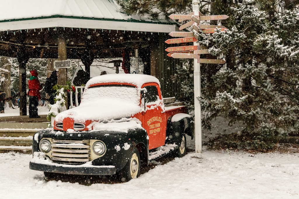 Drysdales Tree Farm7969 Having a bit of a Hallmark Christ… Flickr