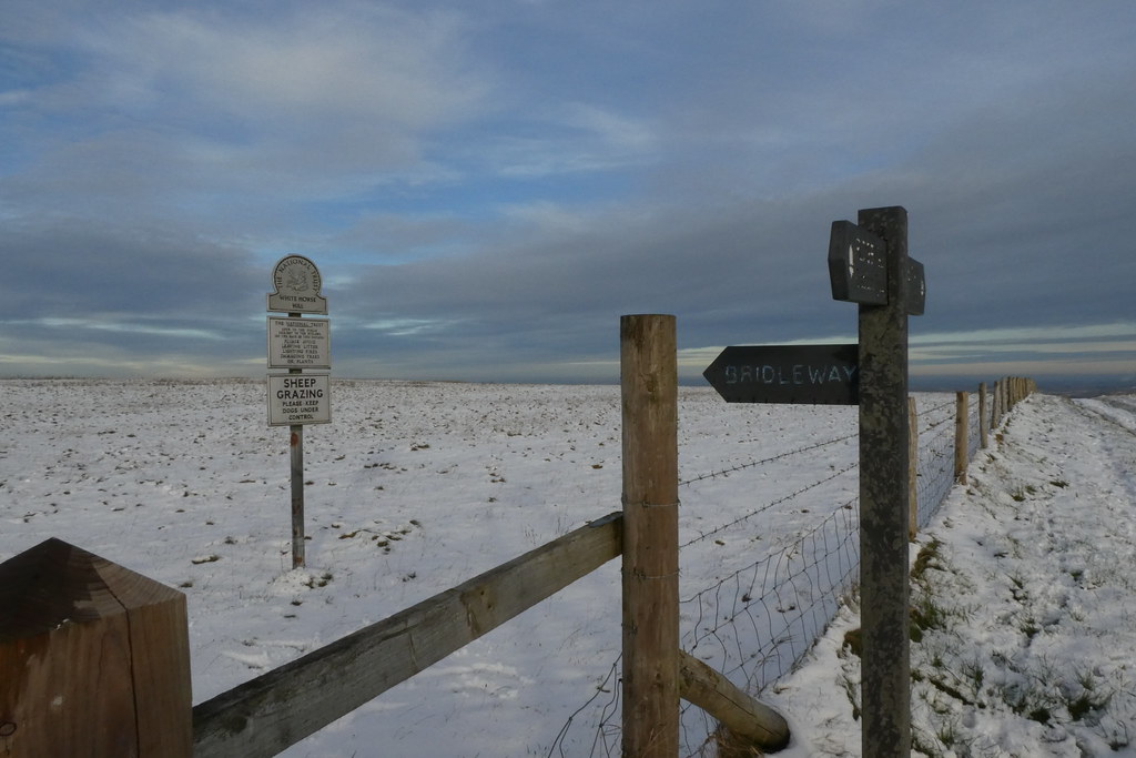 Directions White Horse Hill, 29 November 2021 Frances Bonney Flickr