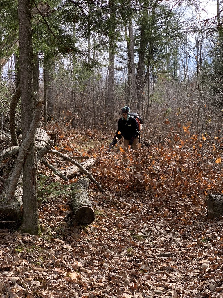November 2021 Piney Creek Trails Volunteer Day Stewards Individual