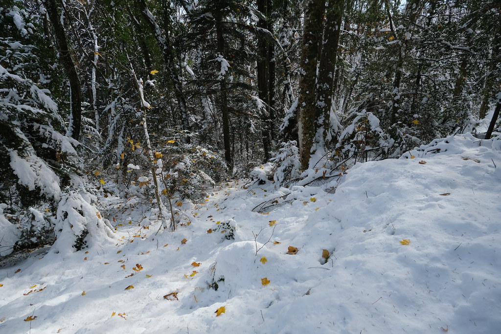 Chemin de la Montagne Le BourgetduLac Guilhem Vellut Flickr