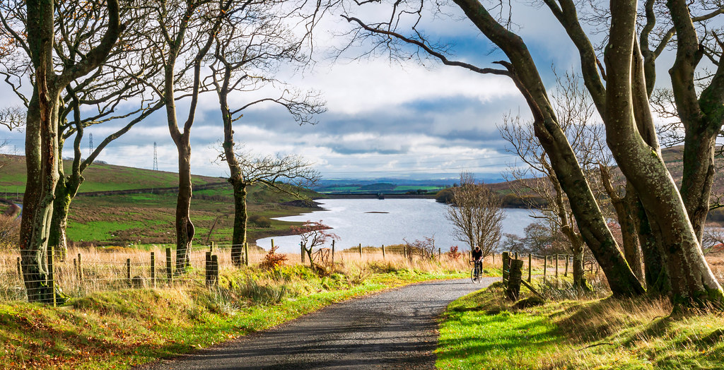 Cyclist and trees, Dalry, North Ayrshire, Scotland, UK Flickr